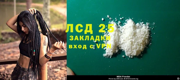 молекула духа Вяземский