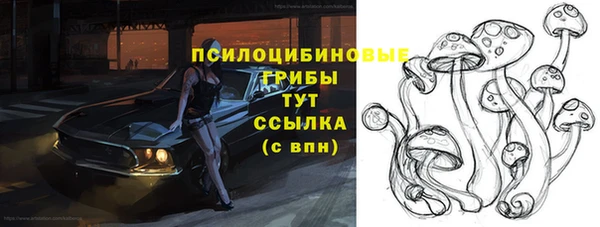 индика Вязники
