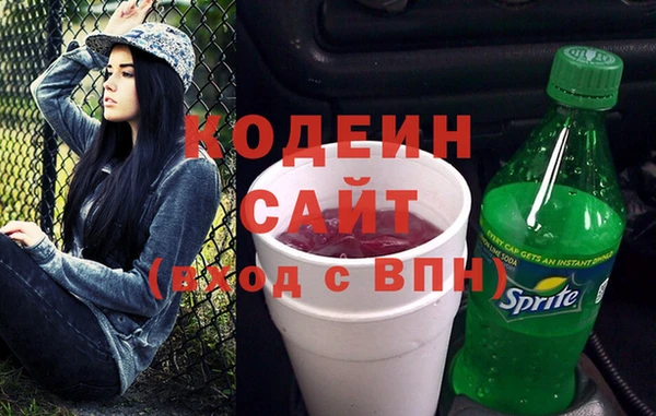 молекула духа Вяземский