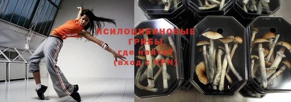 индика Вязники