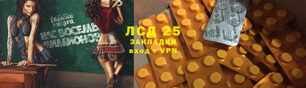 индика Вязники