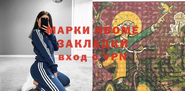 индика Вязники
