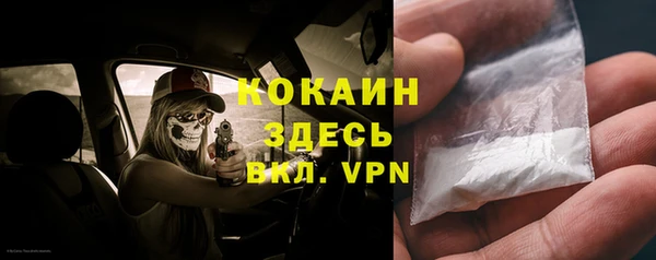 индика Вязники