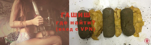 молекула духа Вяземский
