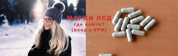молекула духа Вяземский