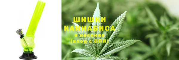 индика Вязники