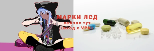 молекула духа Вяземский
