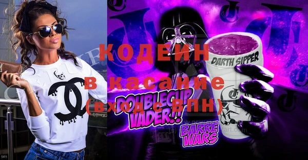 молекула духа Вяземский