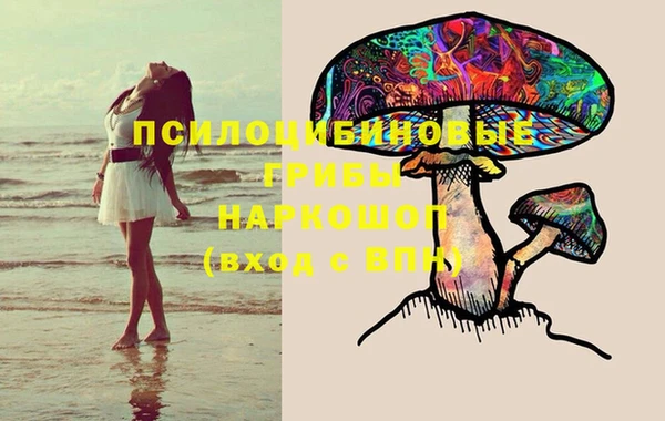 молекула духа Вяземский