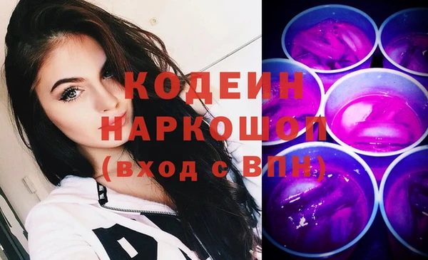 индика Вязники