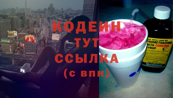 молекула духа Вяземский