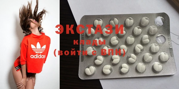 молекула духа Вяземский