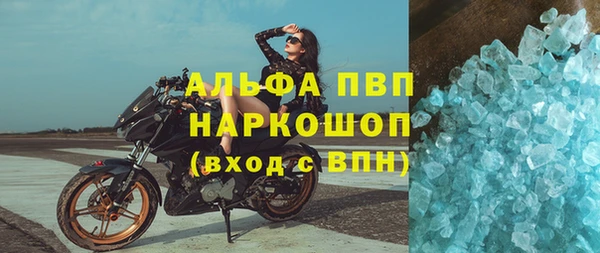 молекула духа Вяземский