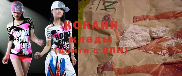 индика Вязники