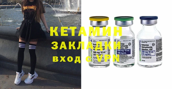 молекула духа Вяземский