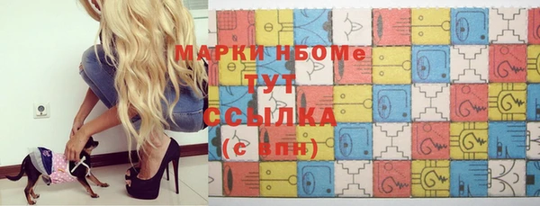 молекула духа Вяземский