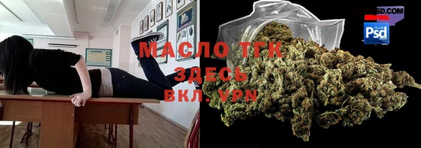 индика Вязники