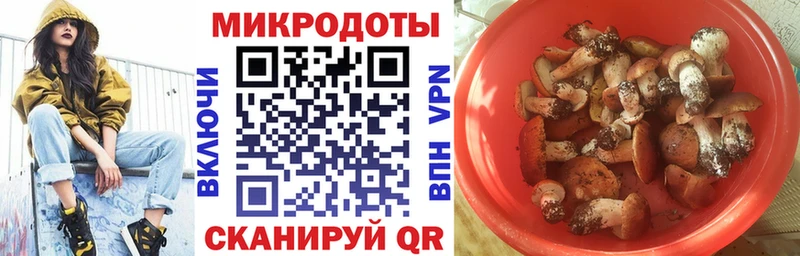 Купить закладки Амурск Псилоцибиновые грибы прущие грибы