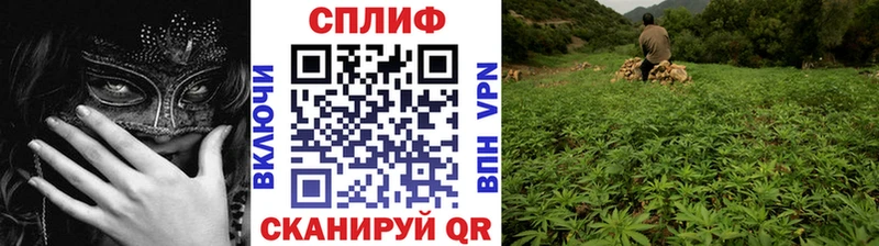 Бошки марихуана VHQ Амурск